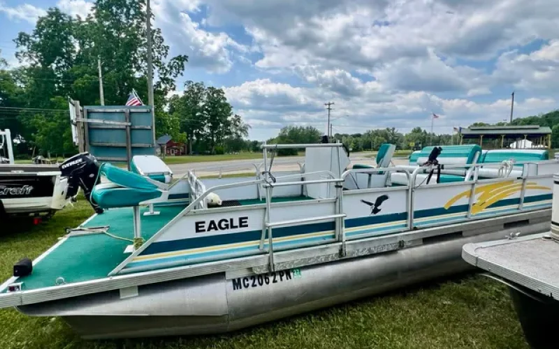eagle8